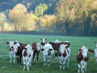 Bed & Breakfast Maison De Marie