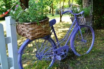 Bed & Breakfast La Casa Nobili