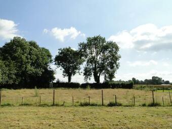 La Bergerie, Cottage Normand 5 Pers. Avec Piano