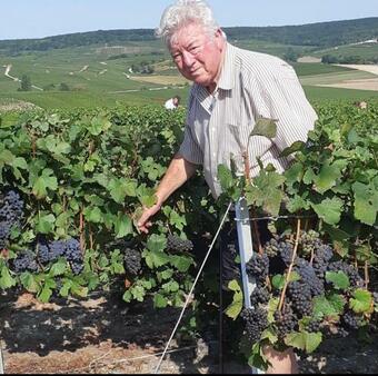 Floressens En Champagne Terrasse Privative Sur Le Vignoble
