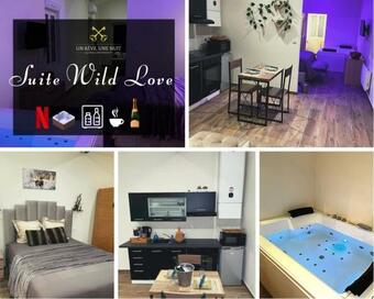 Apartamento Suite Romantique Wild Love Avec Spa Baln�o Et Sauna Privatif