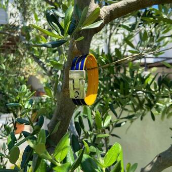 Apartamento Mas Bien Etre