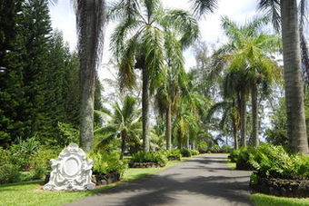 Bed & Breakfast The Palms Cliff House Inn