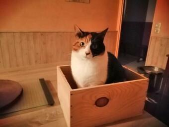 Grande Chambre D'h�te Proche Disneyland Et Parc Des F�lins