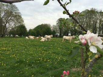 Hostal Au Gr� Des Saisons