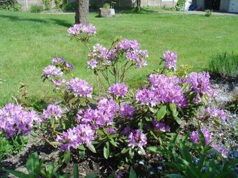 Guerinel Herbert Pierrette