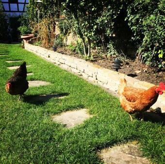 Bed & Breakfast La Grange Aux Coqs