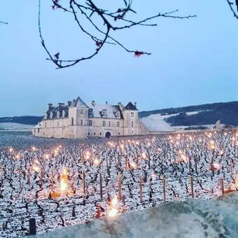 Chez Brigitte