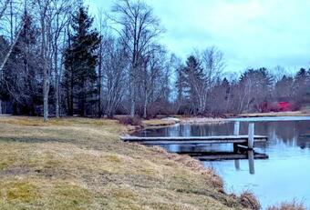 Bluebird Manor On The Water, 2 Acres & Amenities