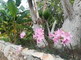 Hotel Studio 6 Kenedy