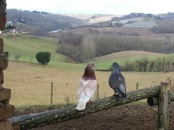 Agroturismo La Roulotte Du Cos