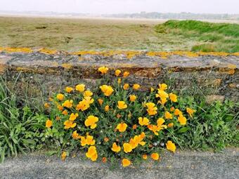 Apartamentos Le Ti'nid