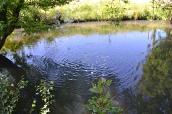 Hostal Au Fabuleux Festin