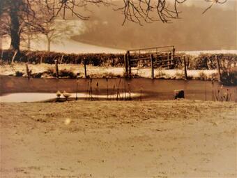 Bed & Breakfast Maison Vin D'hus