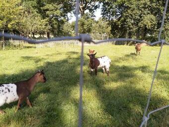 G�te Les Clouzeaux, 3 Pi�ces, 4 Personnes - Fr-1-426-288