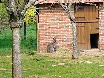 Bed & Breakfast Chambres D'h�tes Du Ranch