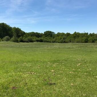French Fields Luxury Glamping Original Mongolian Yurt