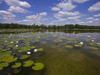 G�te Ling�, 2 Pi�ces, 2 Personnes - Fr-1-591-189