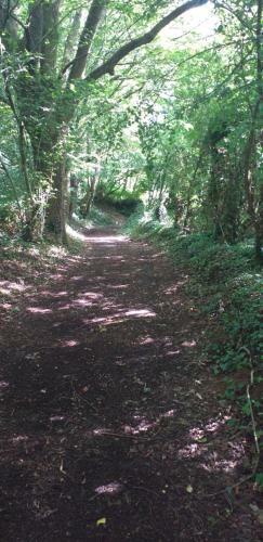 Le Cottage De L Abbaye
