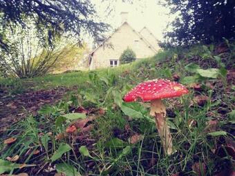 Bed & Breakfast Maison Du Tertre