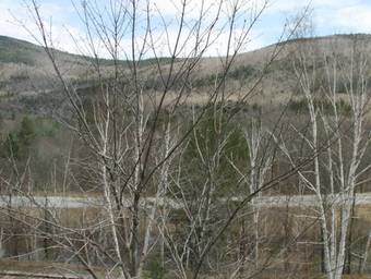 Posada The Notchland Inn