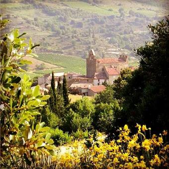 G�te Vigneron Du Domaine D'alon