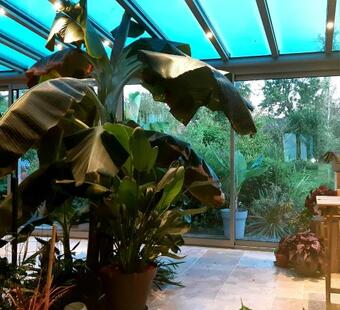 Le Jardin D'olivier