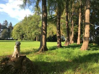 Ch�teau Folies - Escapade Nature G�te 120m2 - 5 Couchages