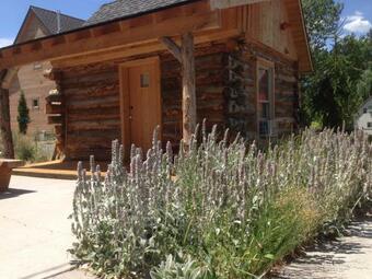 Cooper's Cabin At The Osborne