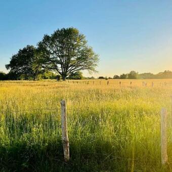 G�te � L'ombre Du Figuier