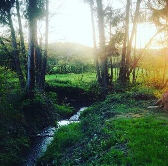 Bed & Breakfast Le Moulin De Corneil