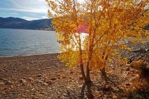 Hotel Best Western Topaz Lake