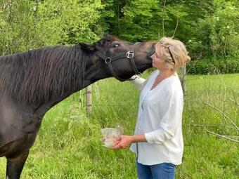 Bed & Breakfast L'atelier