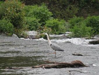 La Maison D'a C�t�