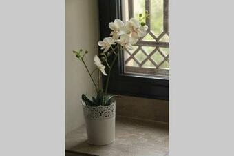 Sous La Tonnelle, Maison De Vacances