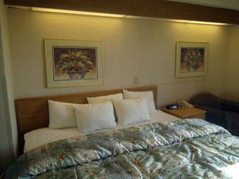 Hotel Pleasant Stay Inn & Suites