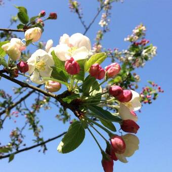 Bed & Breakfast Le Manoir Du Pont Senot