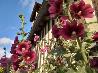 Bed & Breakfast L'ile Verte