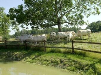 G�te Pervench�res, 4 Pi�ces, 6 Personnes - Fr-1-497-49