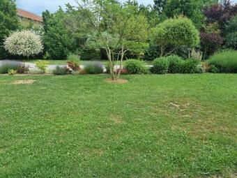 Albizia Bis