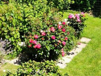Bed & Breakfast Les Chambres Des Badious