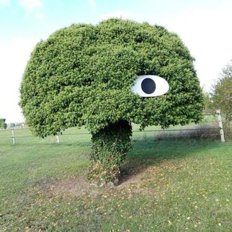 G�te Dans Parc De Sculptures - G�te "zanzibar"