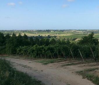 Bed & Breakfast La Coulee Verte