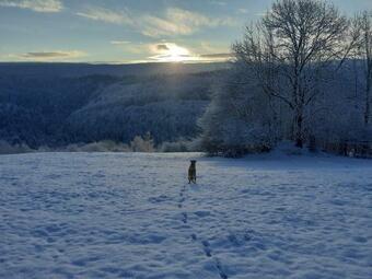 Apartamentos La Belle Vue