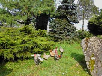 Bed & Breakfast Les Horizons