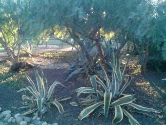 Apartamento Mas De L'olivier