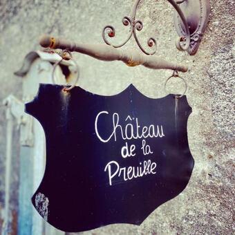 Chateau De La Preuille Gites