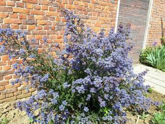 Chambre Dans Une Maison Individuelle Au Coeur De L Avesnois