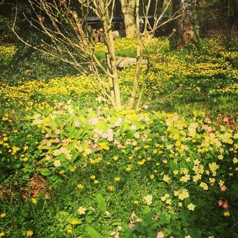 Bed & Breakfast Chambre Les Anges Proche Mont Saint-michel, Maison D'h�tes L'angevini�re