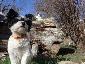 Ver fotos